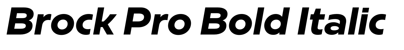 Brock Pro Bold Italic